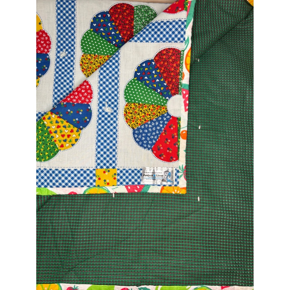 Project Linus Handmade Quilt Dresden Plate Gingham Fruit Border 44x44.5 Multi